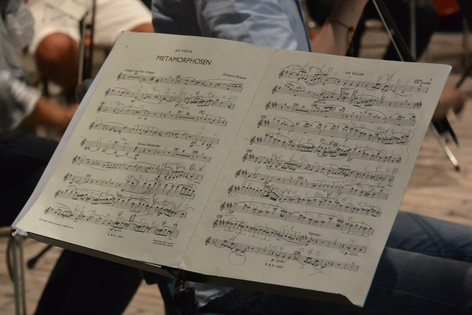 10-08-2014 - Orchestra da Camera della Spettabile Reggenza - 014