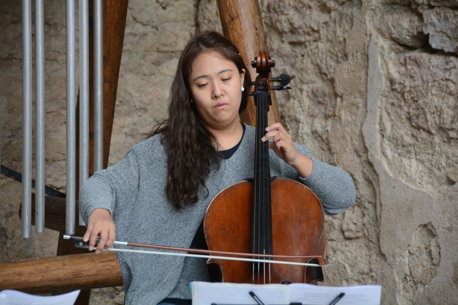 16-08-2015 - Ensemble di violoncelli - 004
