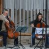 16-08-2015 - Ensemble di violoncelli - 011