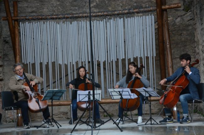 16-08-2015 - Ensemble di violoncelli - 013